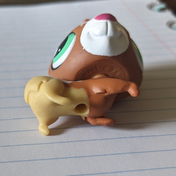 LPS #3299 guinea pig - Picture 2 of 4